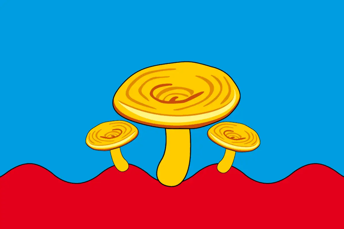 Флаг: Сунский район